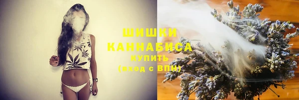 дживик Белоозёрский
