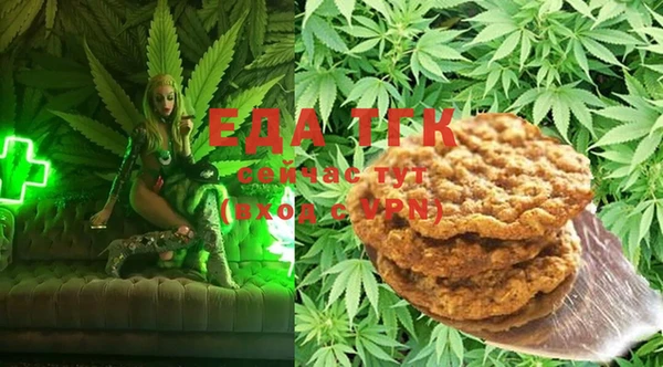 дмт Надым