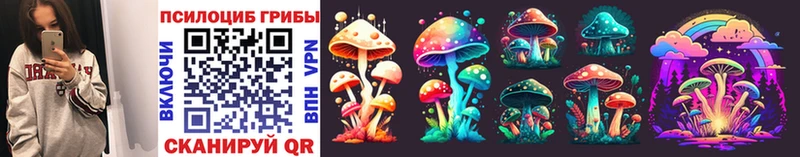блэк спрут ссылка  Бологое  Псилоцибиновые грибы Cubensis 