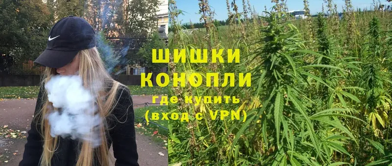 Бошки марихуана Ganja  Бологое 